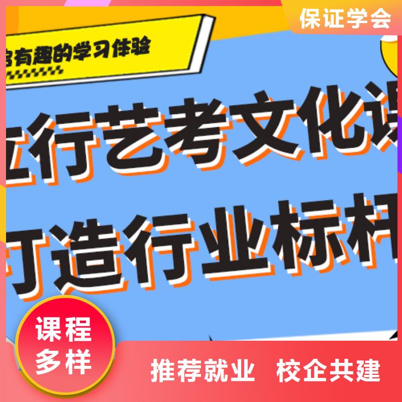 艺术生文化课培训机构哪家好定制专属课程