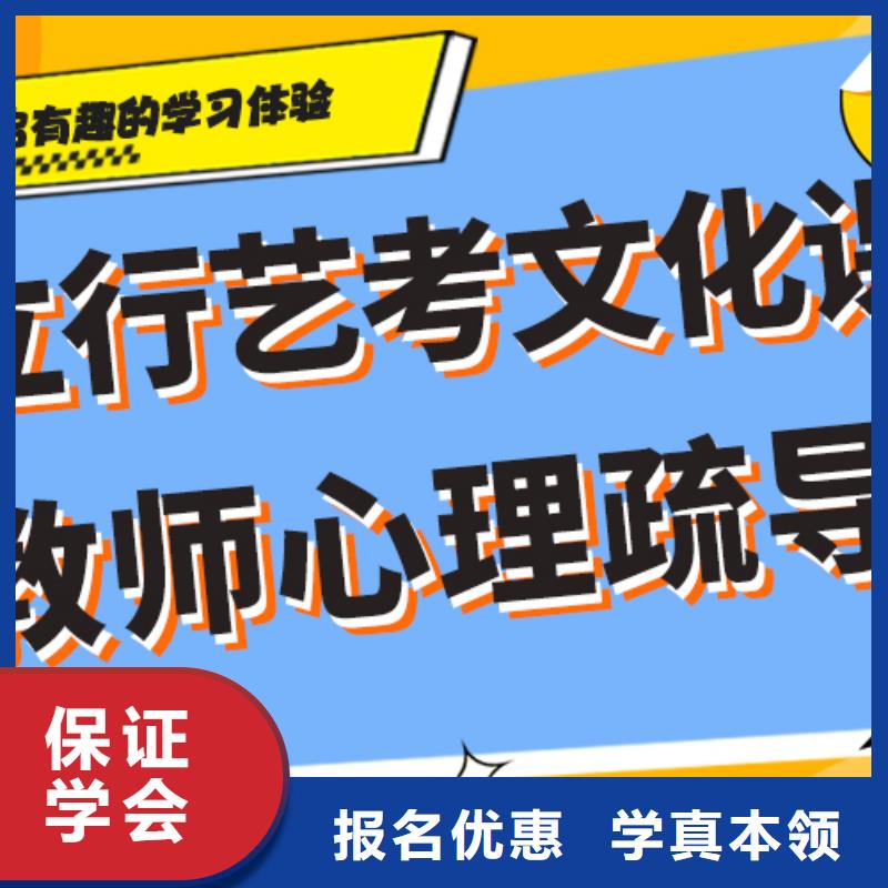 艺考生文化课集训冲刺怎么样艺考生文化课专用教材