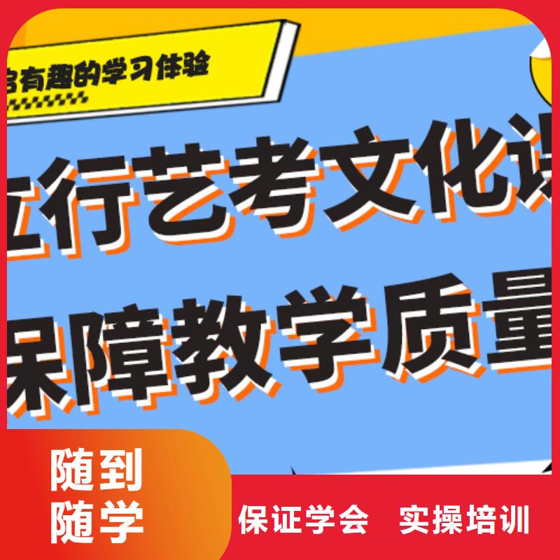 艺考生文化课集训冲刺排行艺考生文化课专用教材