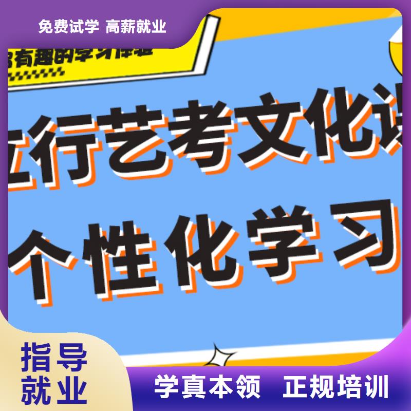 学费艺术生文化课培训机构定制专属课程