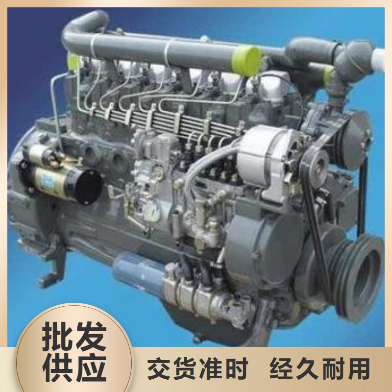 貝隆柴油發(fā)電機(jī)實(shí)體廠家