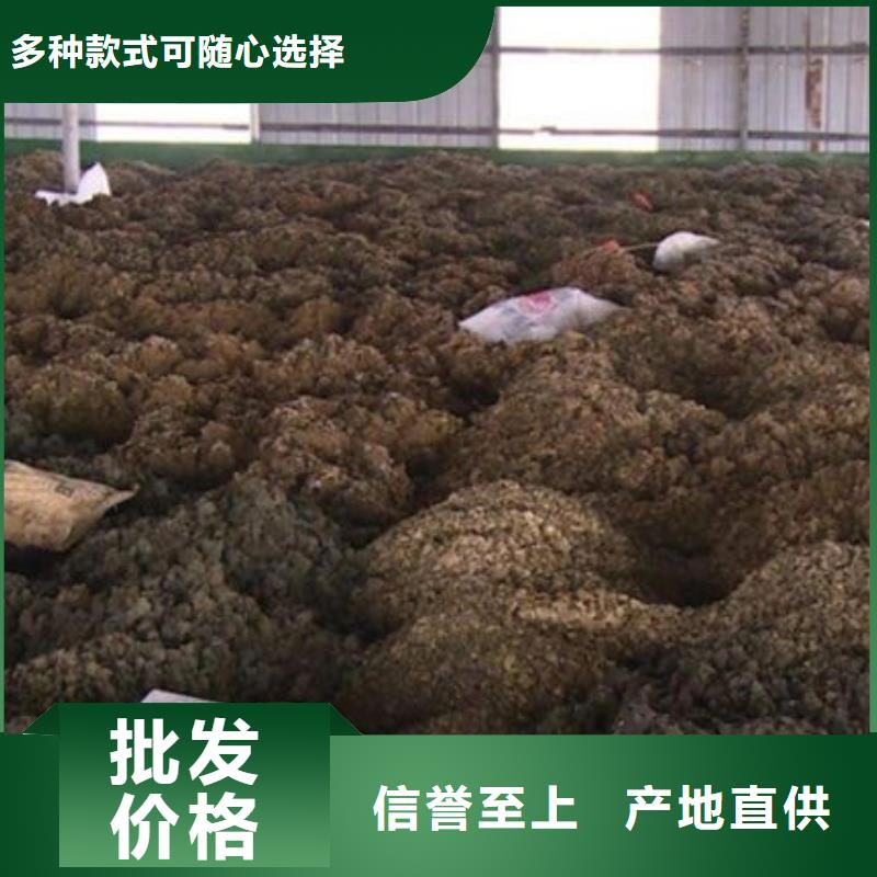 含銅泥含銅泥回收服務(wù)好