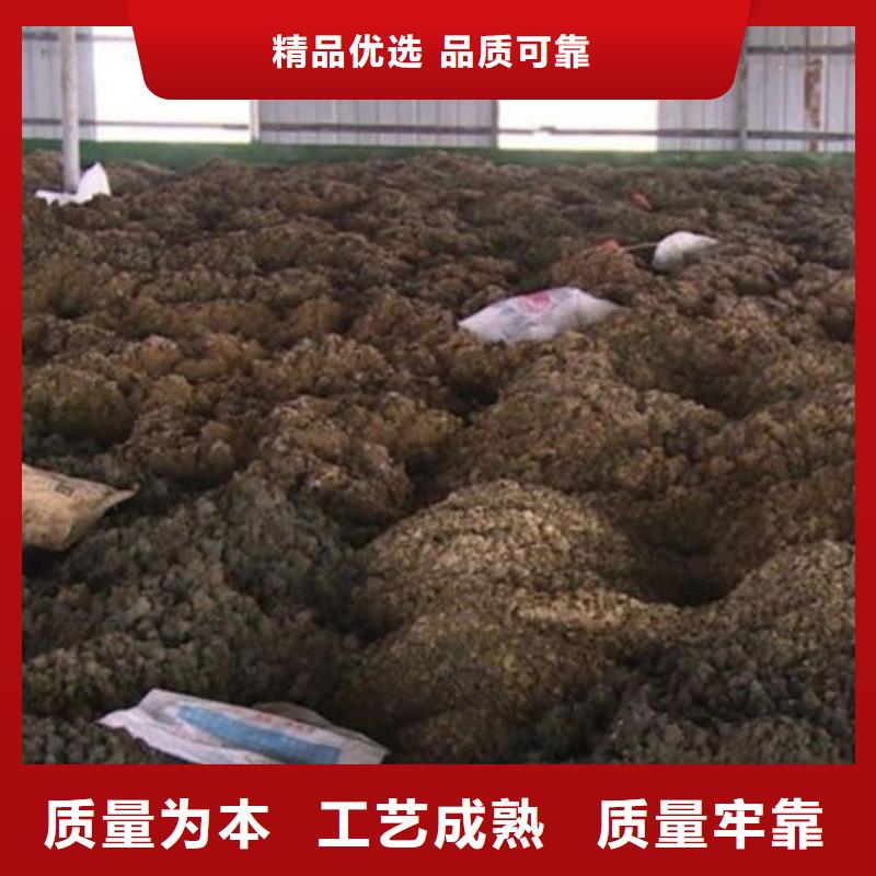 含銅泥多年行業(yè)經(jīng)驗(yàn)