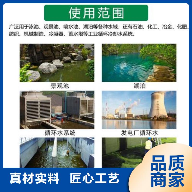 殺菌滅藻劑_聚合氯化鋁工業(yè)級(jí)貨源直供