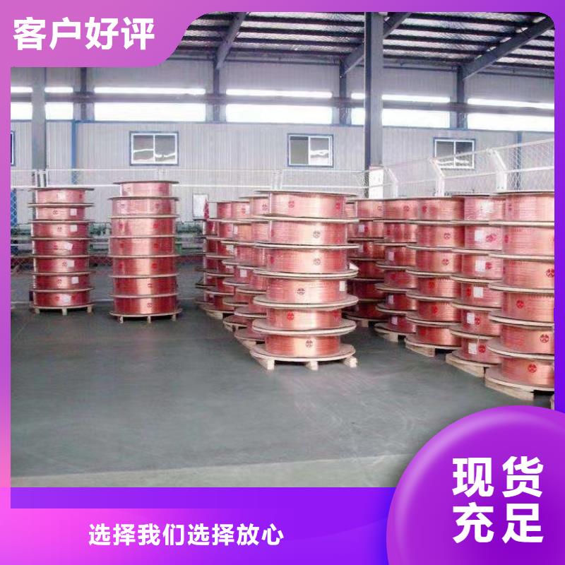 t2毛細(xì)紫銅管【修飾詞