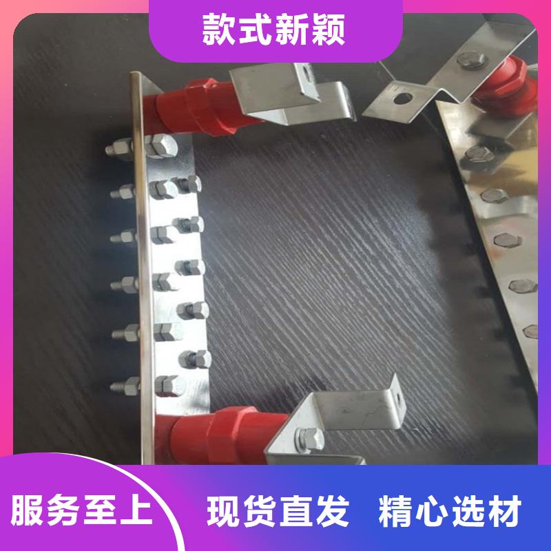 屯昌縣紫銅排型號