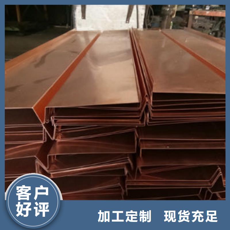 接地紫銅排型號(hào)