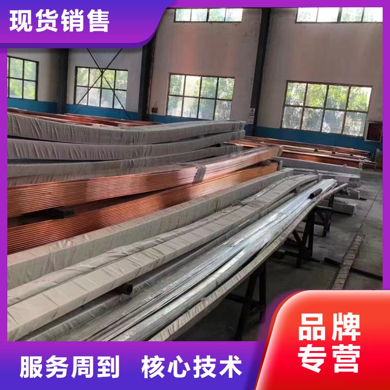 屯昌縣紫銅排型號