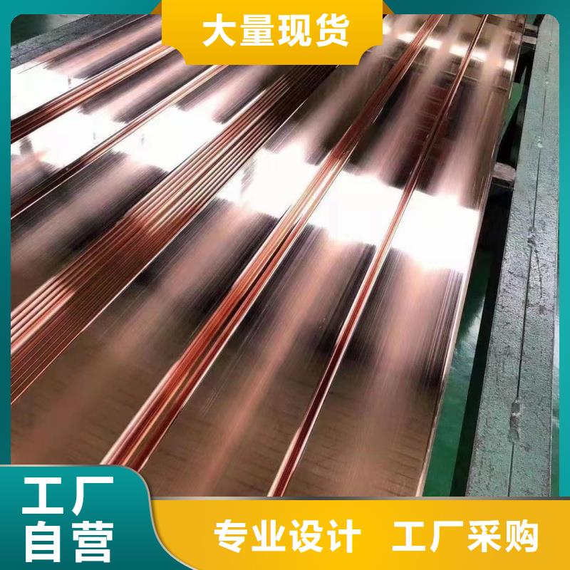 接地紫銅排型號(hào)