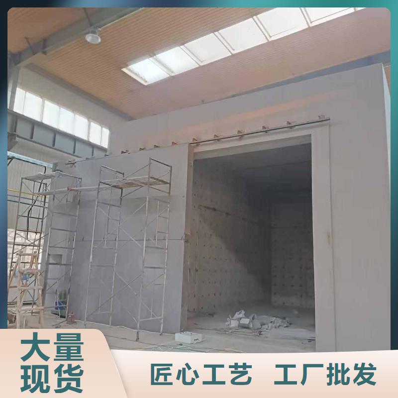 探傷室防護(hù)門可接急單