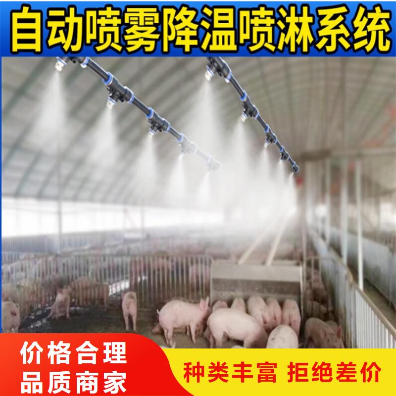 生豬養(yǎng)殖場(chǎng)噴淋消毒設(shè)備供應(yīng)廠家