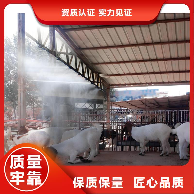 富通達(dá)工地沖洗噴淋設(shè)備車輛人員自動(dòng)消毒通道價(jià)格低交貨快