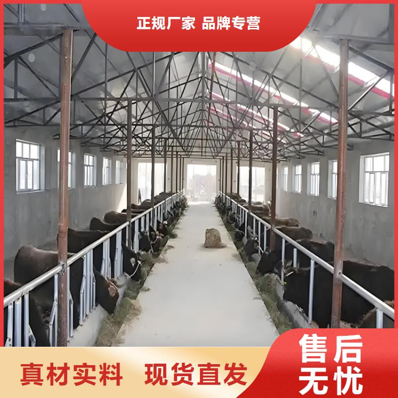 養(yǎng)殖場車輛消毒通道價格實惠