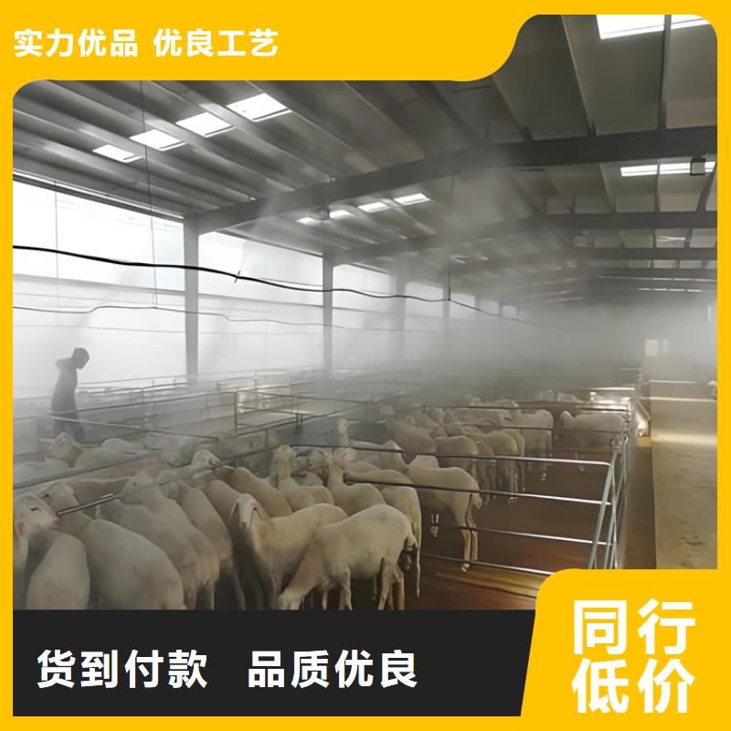 #車輛人員自動(dòng)消毒通道#價(jià)格優(yōu)惠