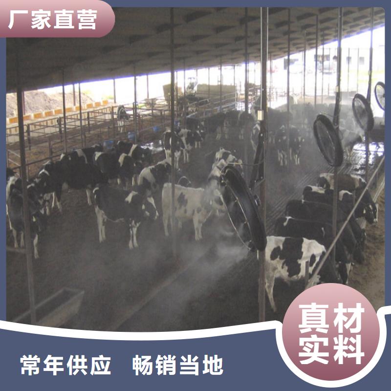 牛棚噴淋消毒除臭專業(yè)配送