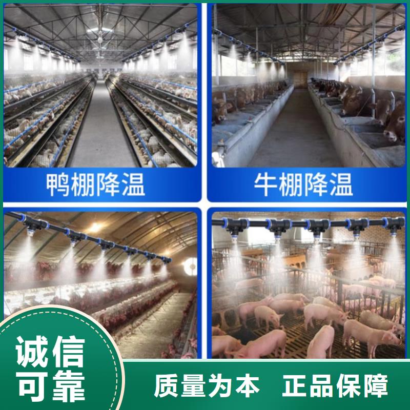 優(yōu)質(zhì)感應(yīng)式龍門洗消架-感應(yīng)式龍門洗消架廠家