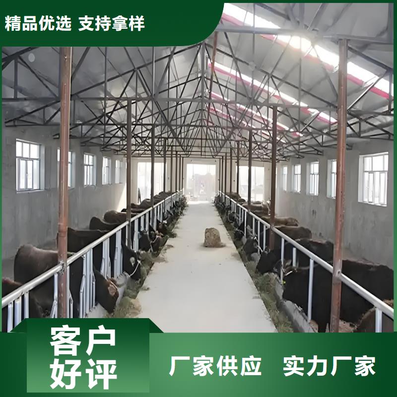 好消息:車輛人員消毒噴霧廠家優(yōu)惠直銷