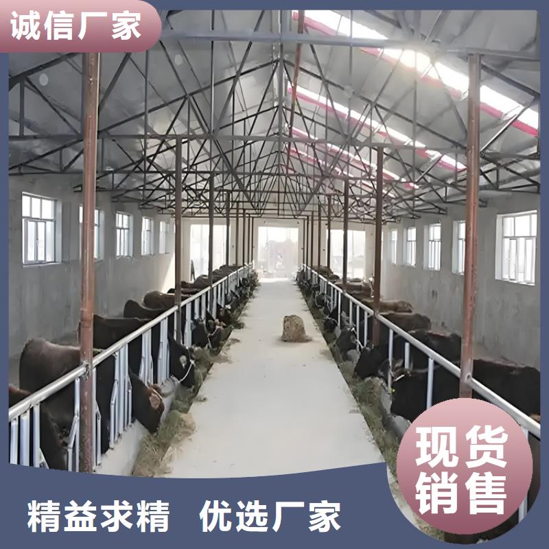 豬舍噴霧消毒除臭直銷廠家