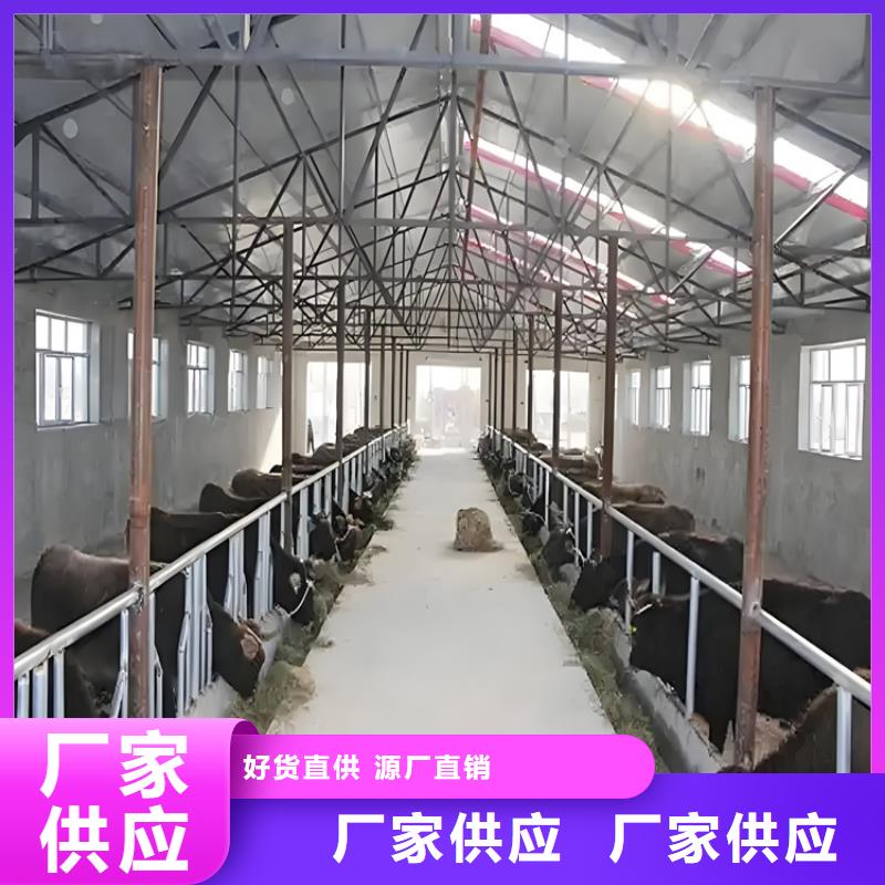 養(yǎng)殖場(chǎng)車輛消毒通道價(jià)格實(shí)惠