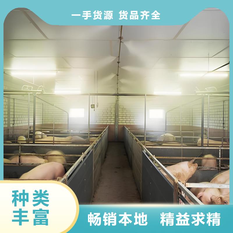 定制車輛人員消毒噴霧_生產(chǎn)廠家