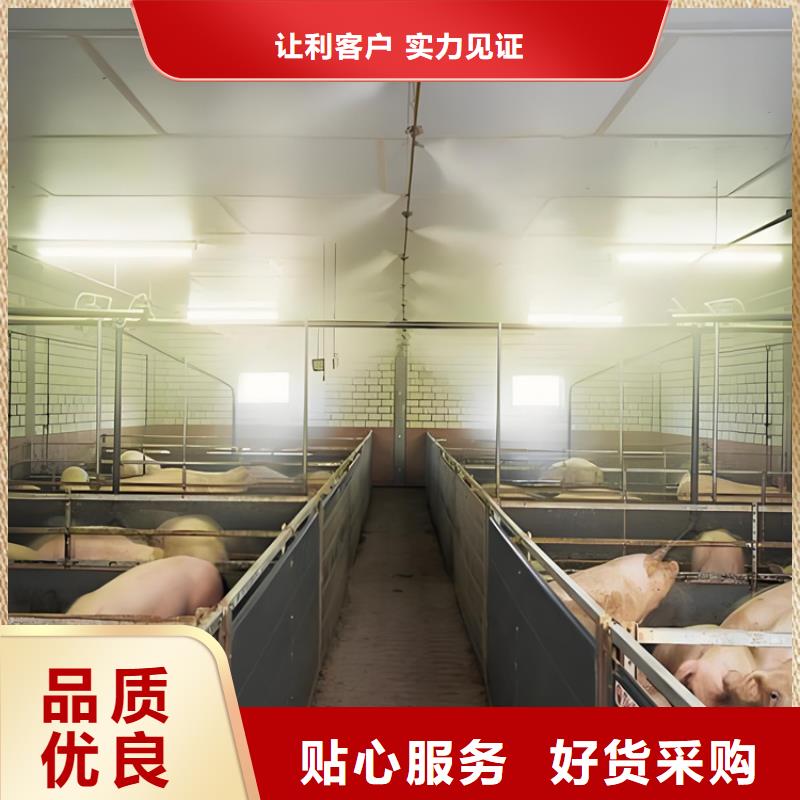 生豬養(yǎng)殖場(chǎng)車輛消毒通道-只做精品