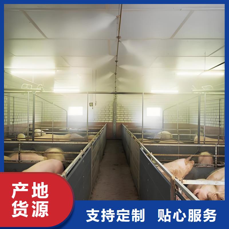 牛棚噴淋消毒除臭正規(guī)工廠有保障
