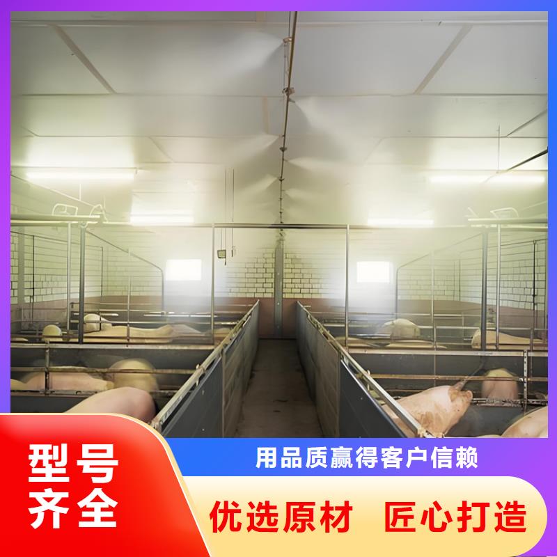 廠家定制屠宰場(chǎng)噴淋消毒通道