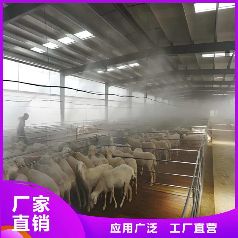 生豬養(yǎng)殖場車輛消毒通道多年老廠