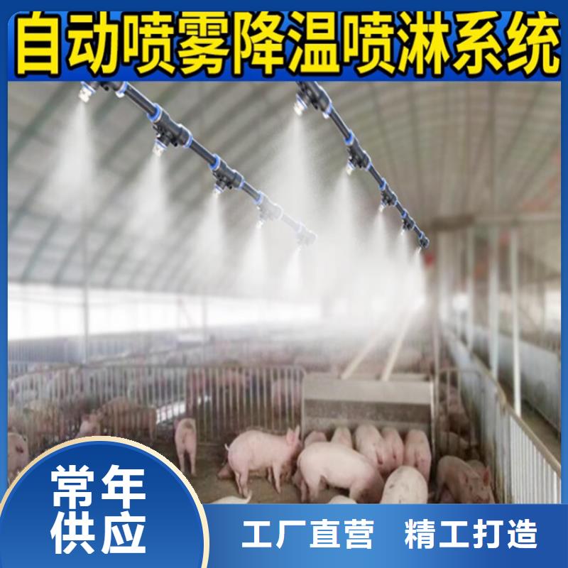 車輛消毒門-接受定制