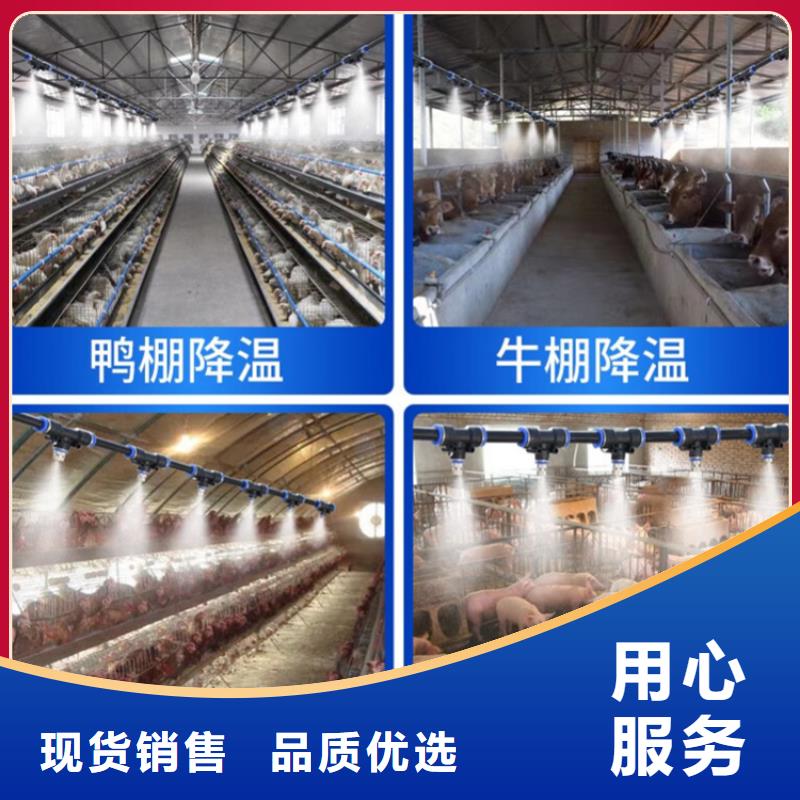 車輛消毒門-接受定制