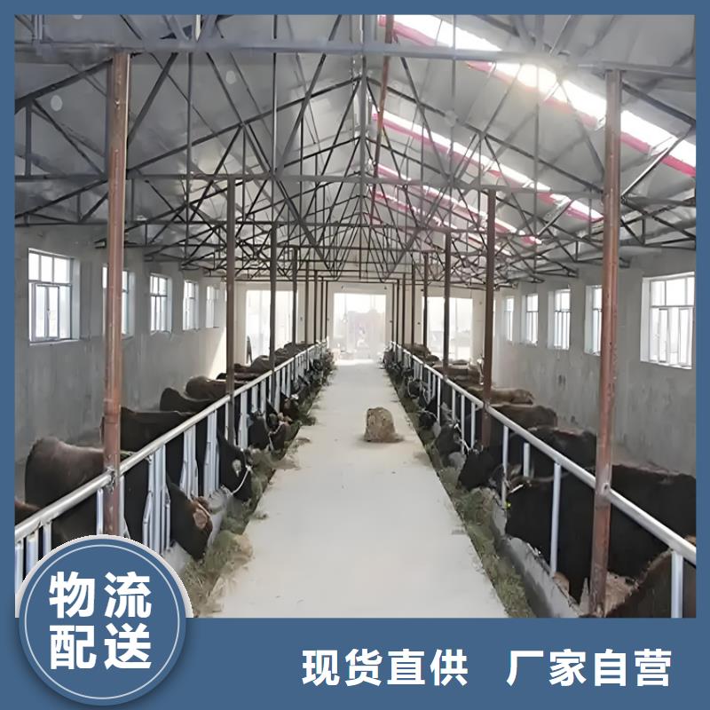 人員消毒通道質(zhì)量上乘