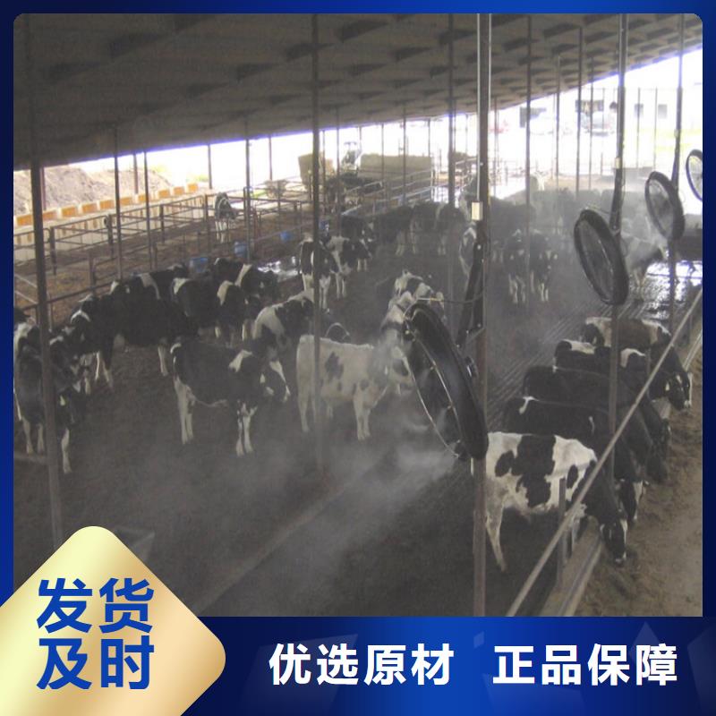 飼料場(chǎng)車輛噴淋消毒設(shè)備讓利銷售