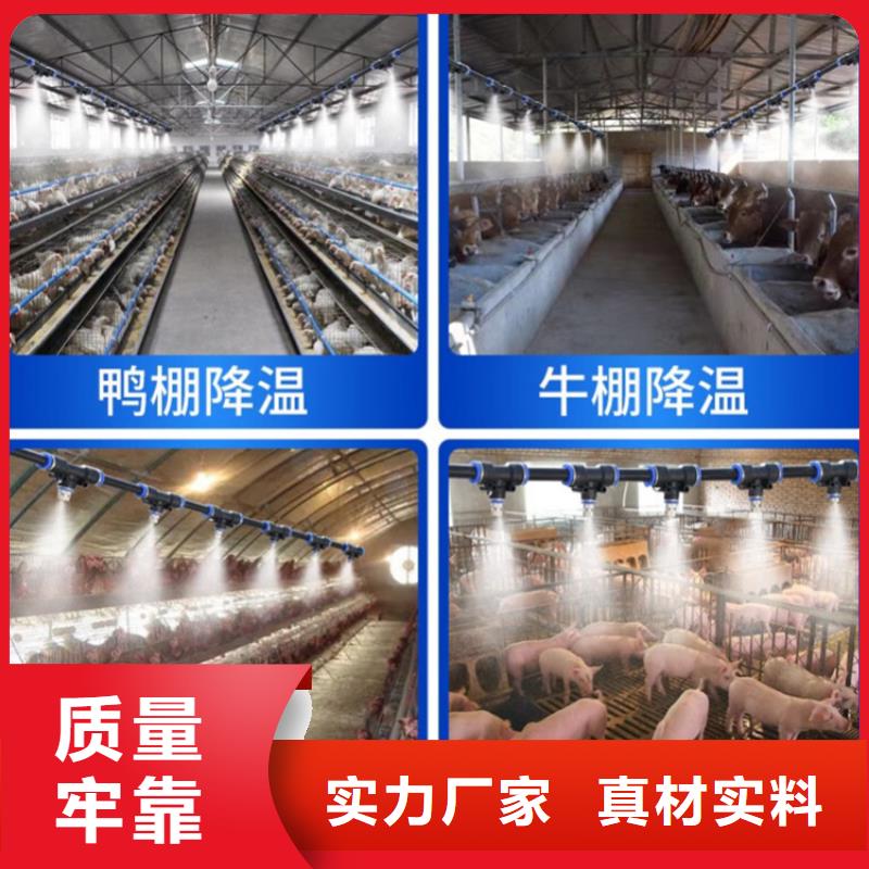 車輛消毒噴霧老品牌高品質(zhì)