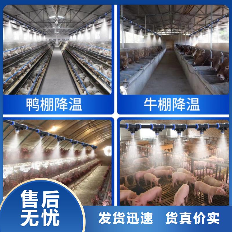 養(yǎng)殖場消毒噴淋質(zhì)量過硬