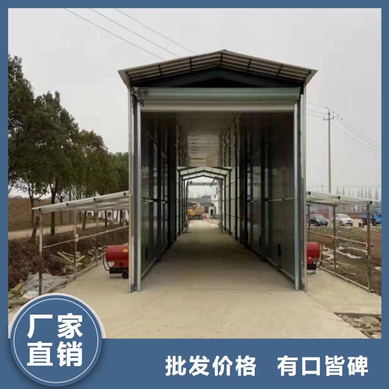 價格低的車輛消毒噴霧供應商