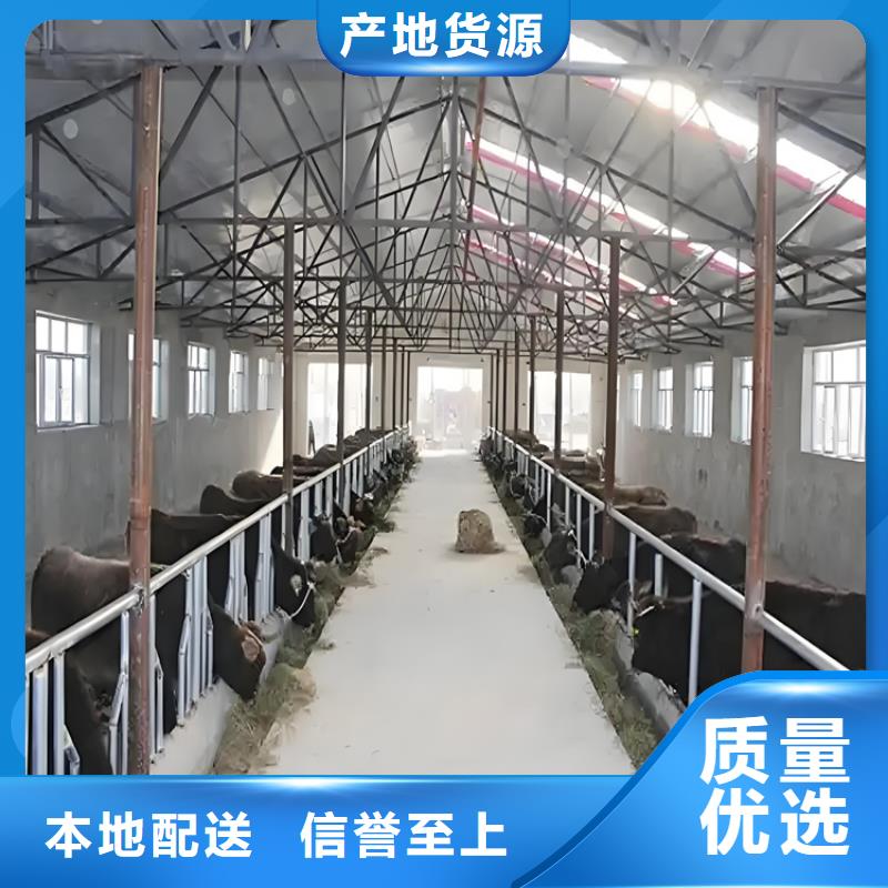 銷售車輛消毒噴霧的廠家