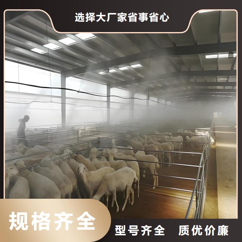 歡迎訪問##車輛消毒噴霧##廠家