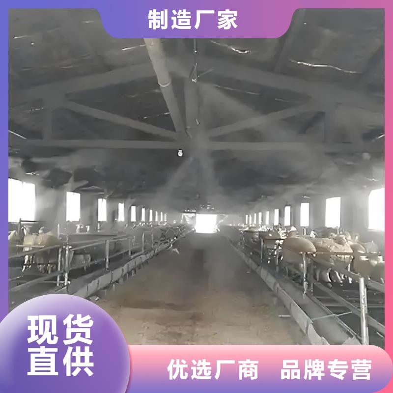 專業(yè)銷售車輛消毒噴霧-全國配送