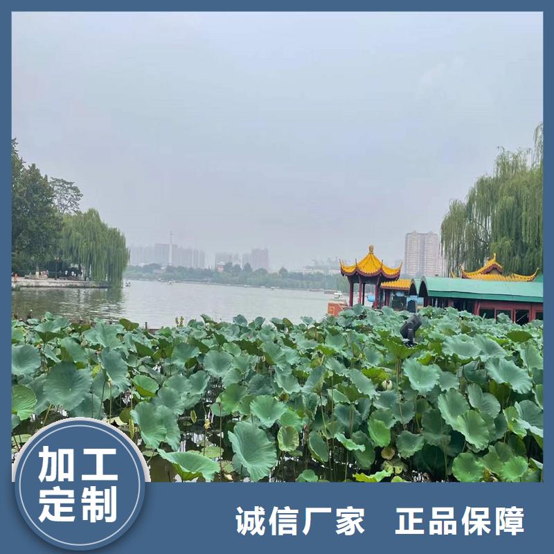 荷花苗定制服務廠家價格優(yōu)惠