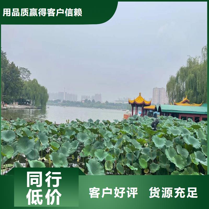 耐寒荷花苗批發(fā)-制作精良