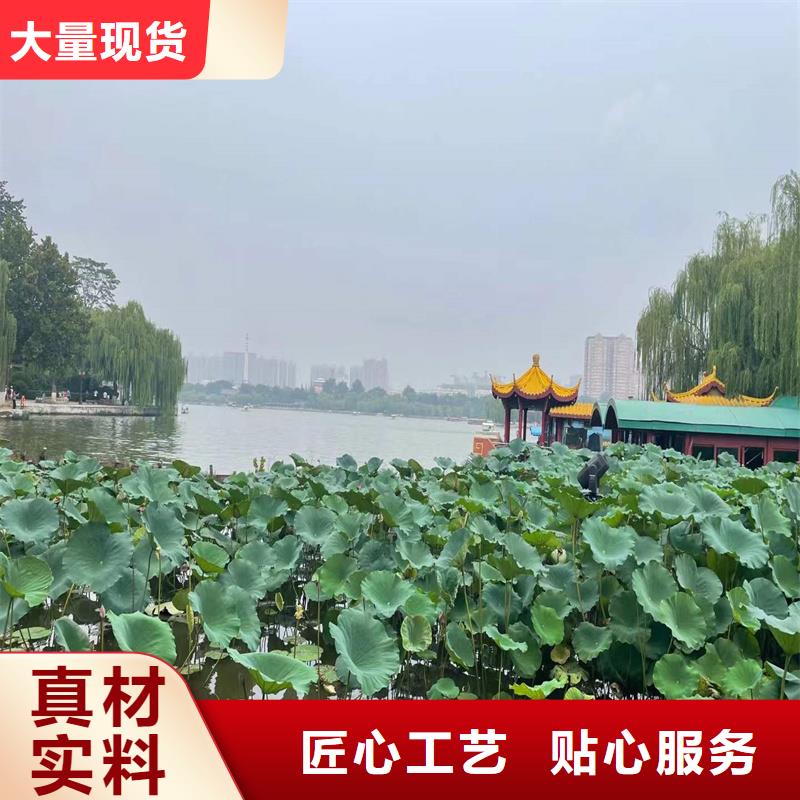 荷花苗景區(qū)美化廠家直銷-荷景園林綠化工程有限公司