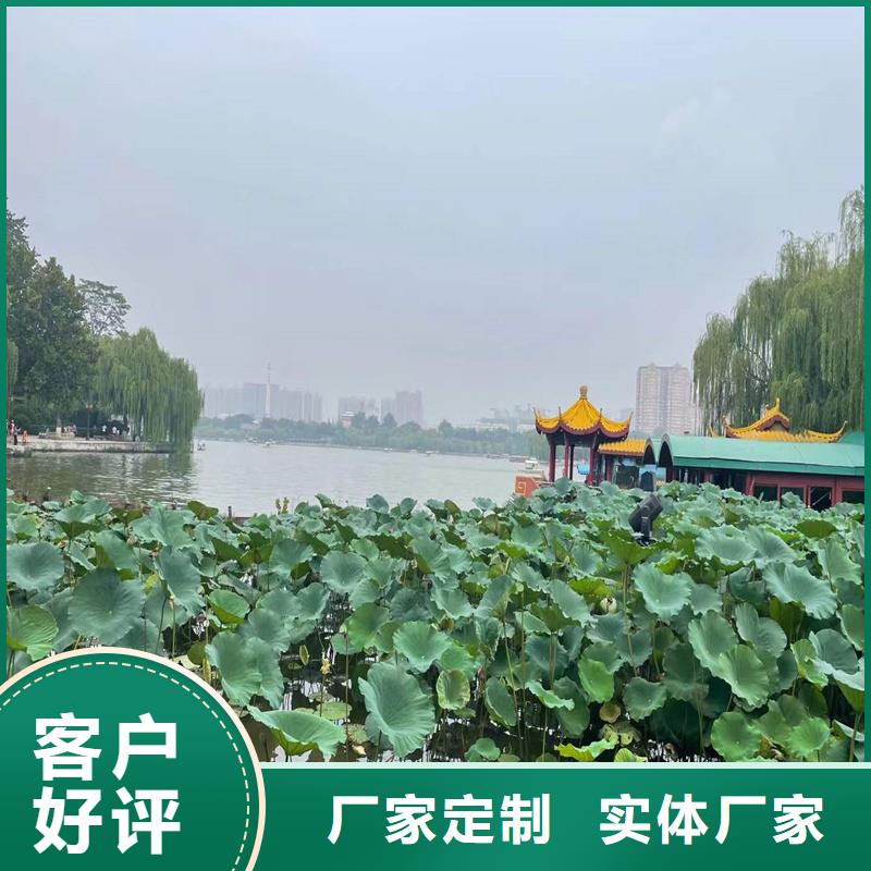 荷花苗荷花好貨有保障