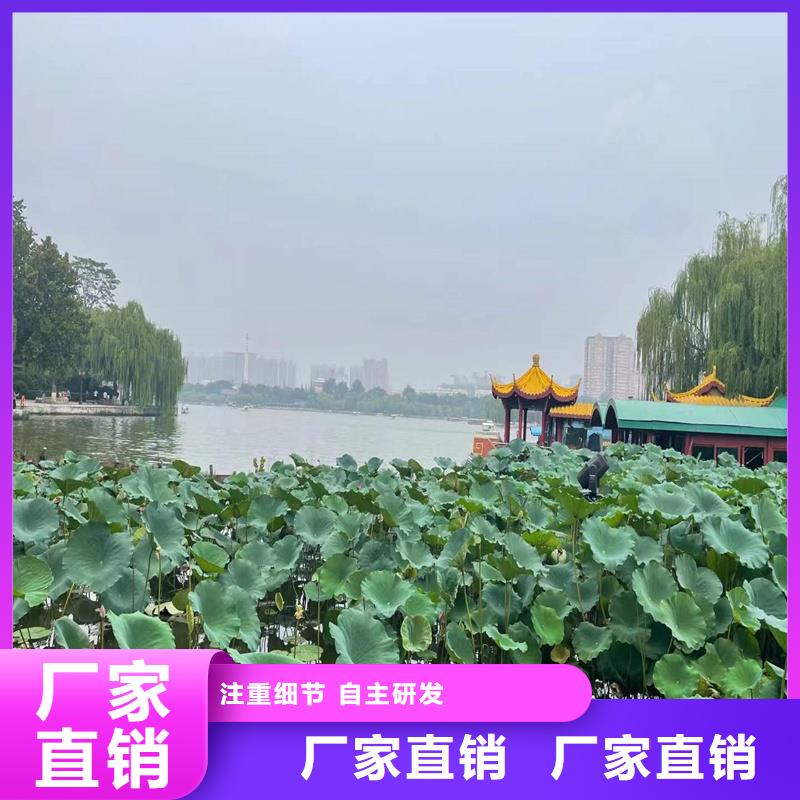 荷花苗零售備貨充足