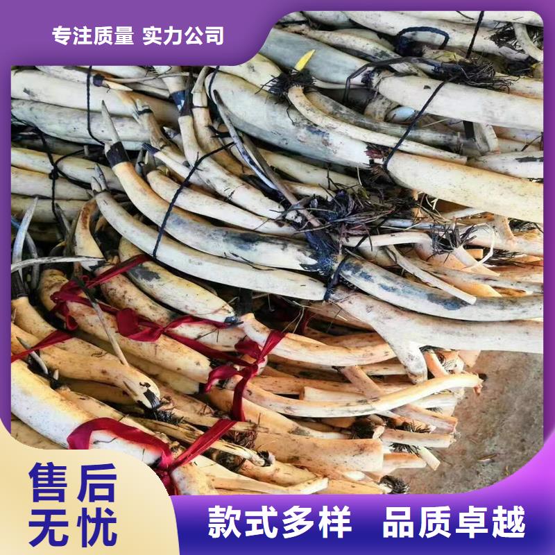 水生植物定制費(fèi)用