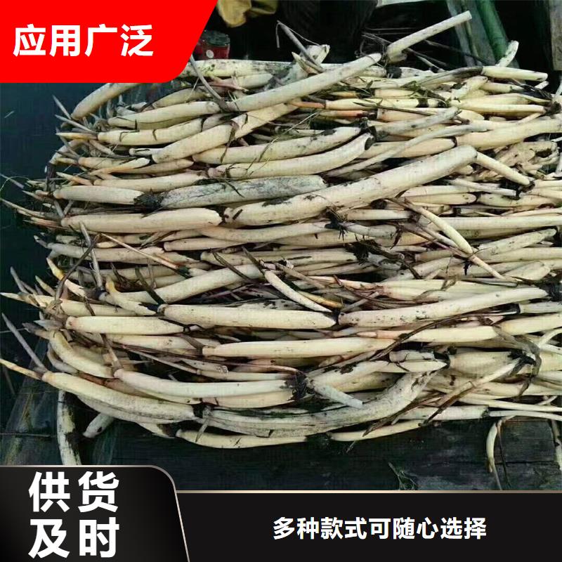 水生植物定制費(fèi)用