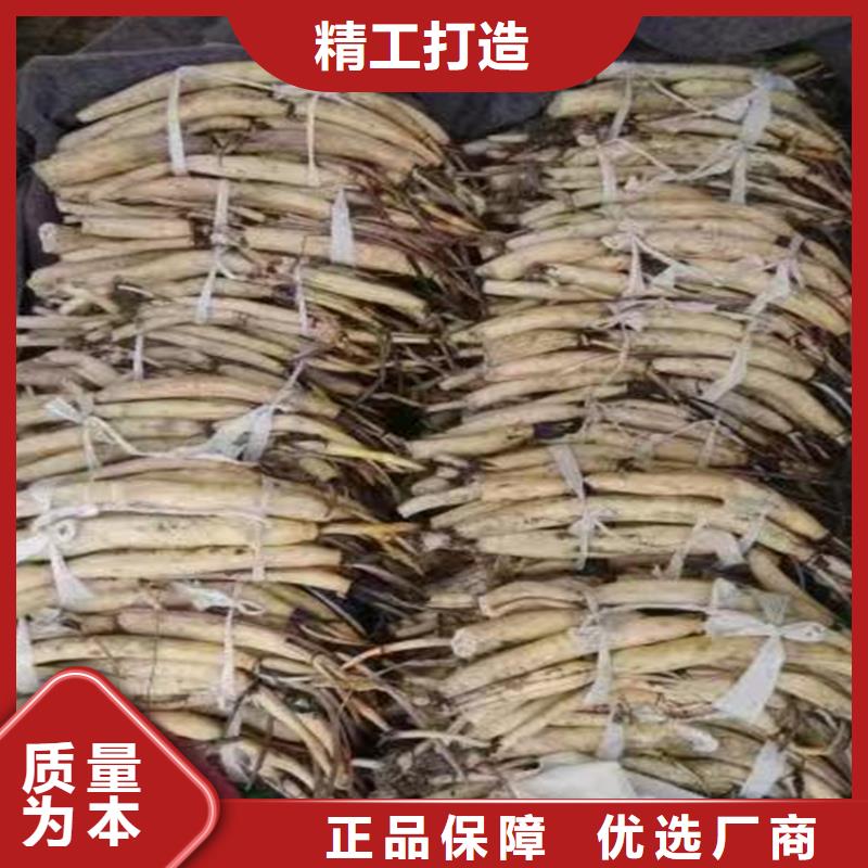 水生植物定制費(fèi)用