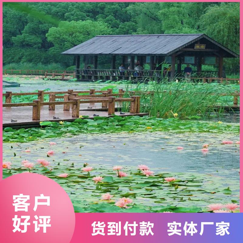 睡蓮種子-用的放心