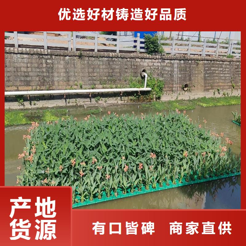 浮島促銷等你來