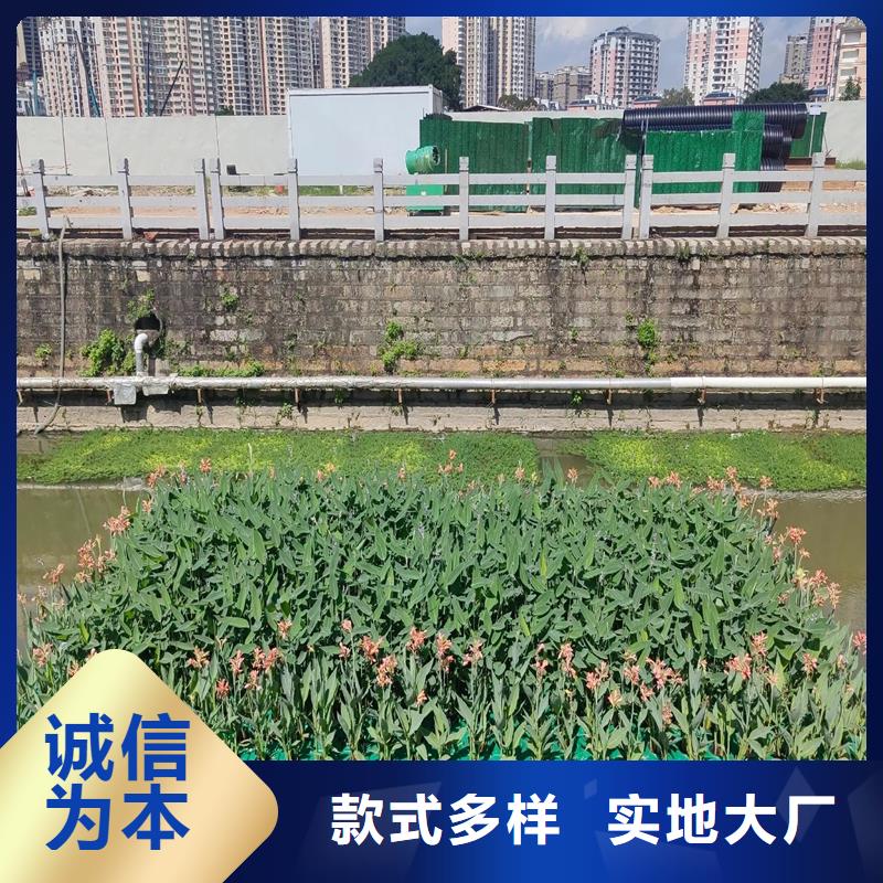 水上生物浮島-用的放心