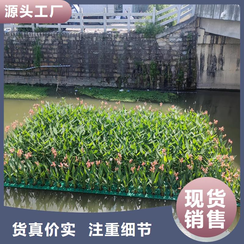 水上生物浮島-用的放心